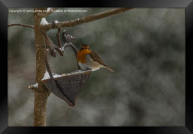 Robin in Snow, Robin Red breast perching in the sn Framed Print by kathy white