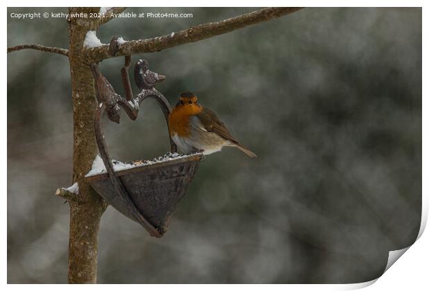 Robin in Snow, Robin Red breast perching in the sn Print by kathy white