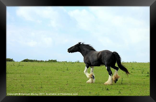 Thunder Framed Print by Hannah Morley