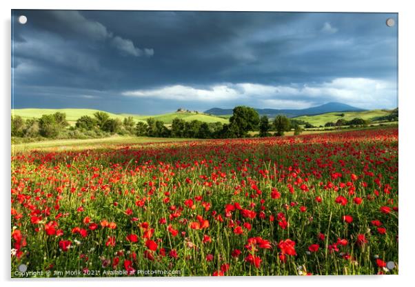 Poppy storm in Tuscany Acrylic by Jim Monk