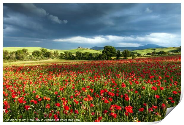Poppy storm in Tuscany Print by Jim Monk