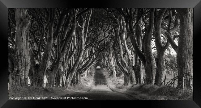 Dark Hedges Framed Print by Jim Monk