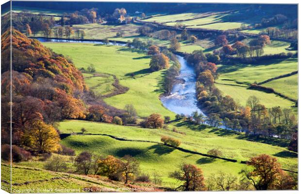 Swaledale from Willances Leap Canvas Print by Mark Sunderland