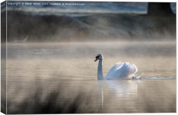 Misty pond  with backlit swan Canvas Print by Kevin White