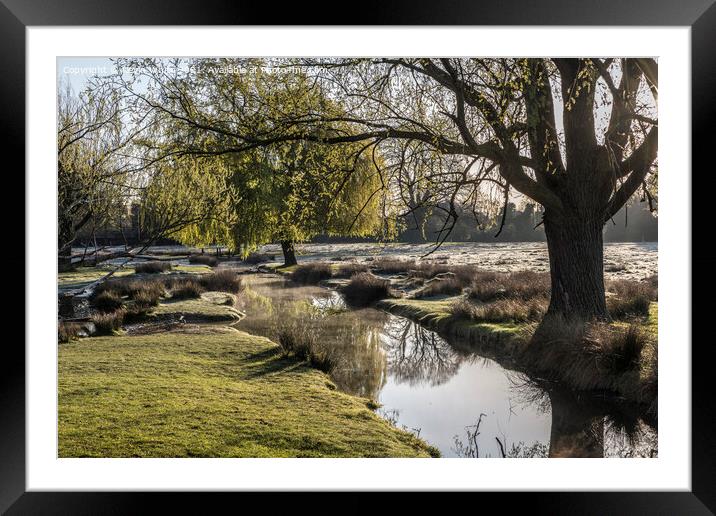 little stream leading to pond Framed Mounted Print by Kevin White