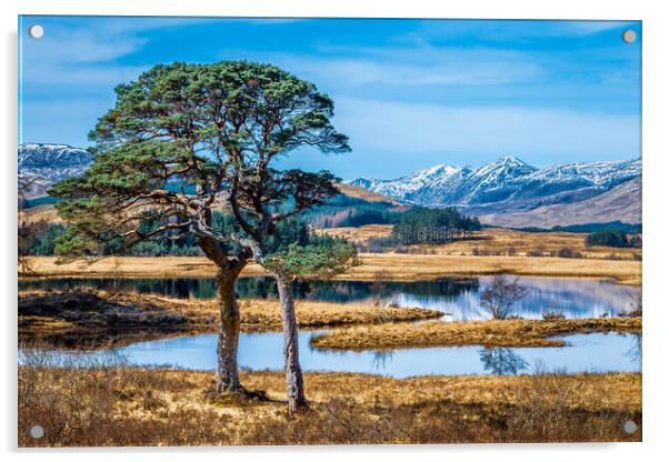 Loch Tulla Landscape Acrylic by John Frid