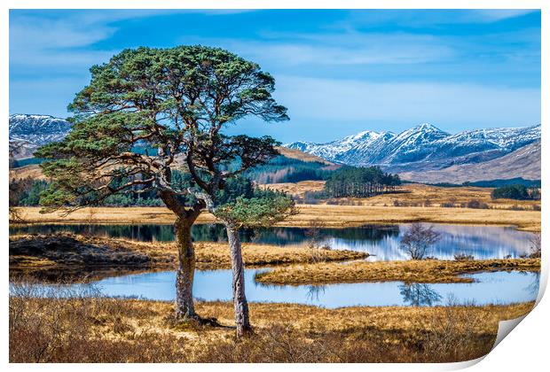 Loch Tulla Landscape Print by John Frid