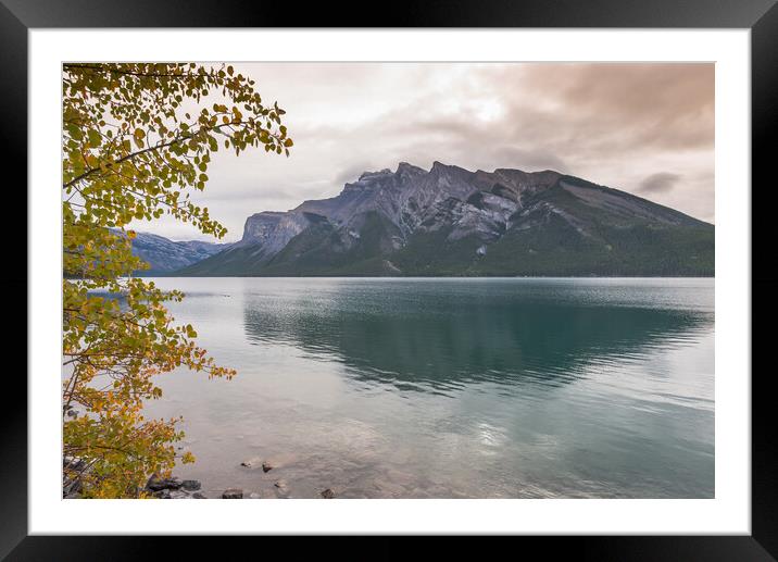 Changing colours at Lake Minnewanka, Canada Framed Mounted Print by Jonathon barnett