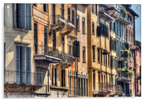 Verona Italy Houses  Acrylic by David Pyatt