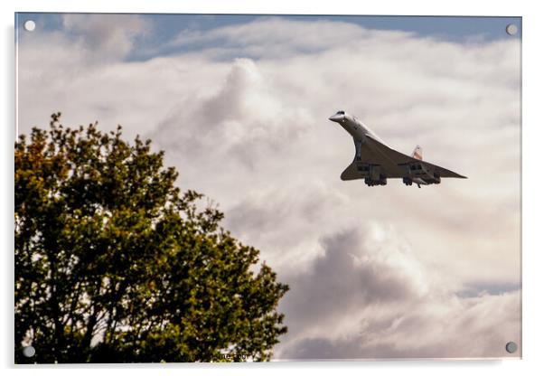 Concorde Acrylic by Nigel Wilkins