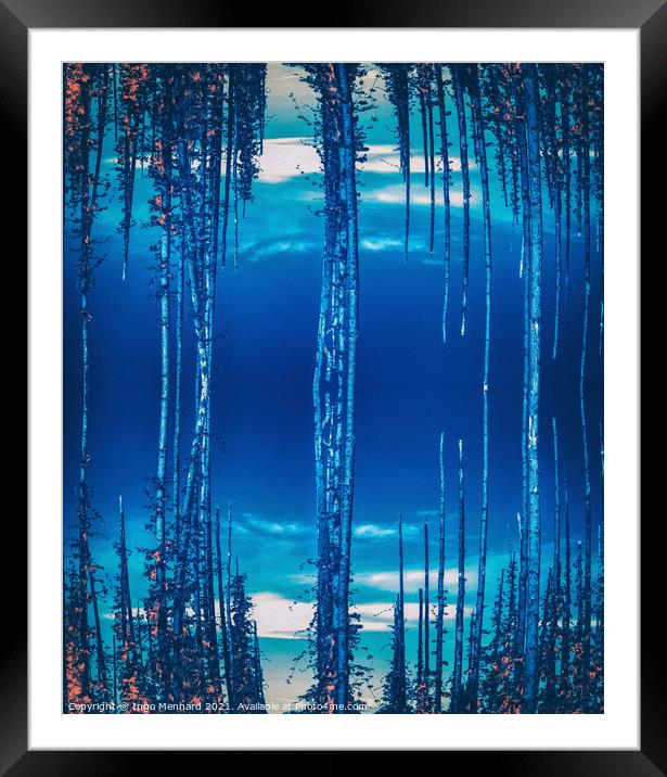 Waterworld Framed Mounted Print by Ingo Menhard