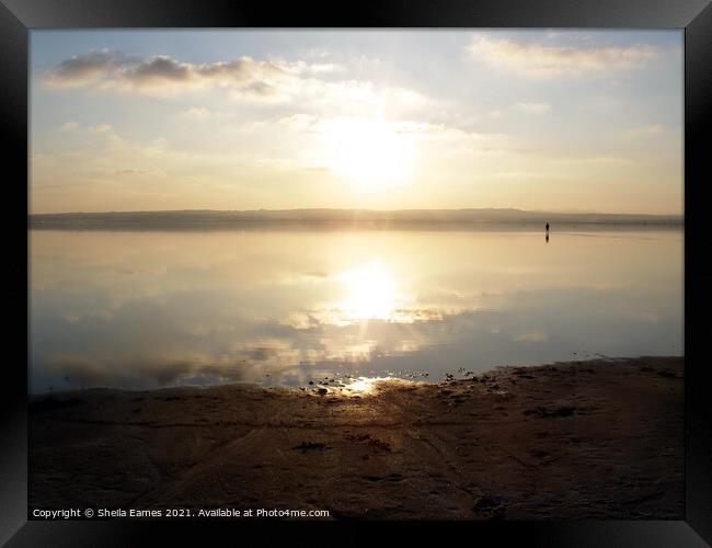 Sunset over the Salt Lakes at Torrevieja, Spain Framed Print by Sheila Eames