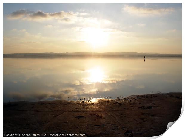 Sunset over the Salt Lakes at Torrevieja, Spain Print by Sheila Eames