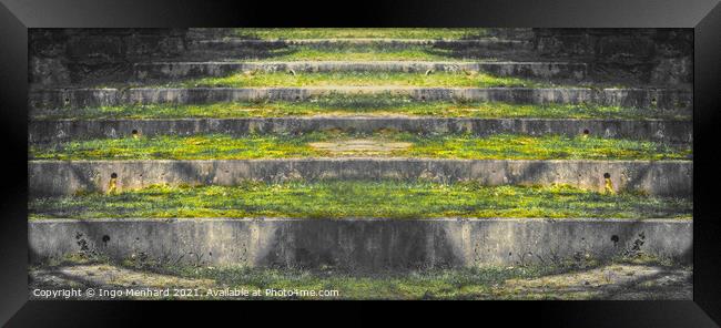 Abstract stone stairs scenery in nature Framed Print by Ingo Menhard