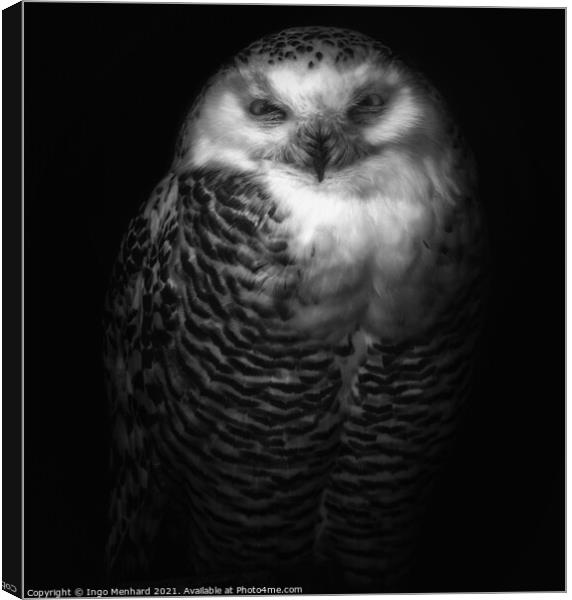 Silvy the owl Canvas Print by Ingo Menhard