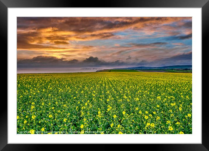 Chale Rapeseed Sunset Isle Of Wight Framed Mounted Print by Wight Landscapes