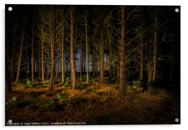 Natural Night Lights Acrylic by Nigel Wilkins