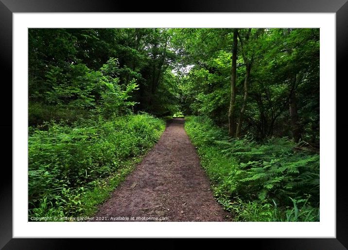 Woodland Pathway Framed Mounted Print by andrew gardner