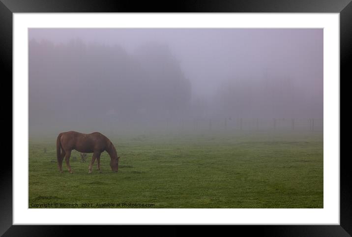 Horse in the fog Framed Mounted Print by eacmich 