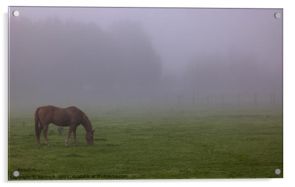 Horse in the fog Acrylic by eacmich 