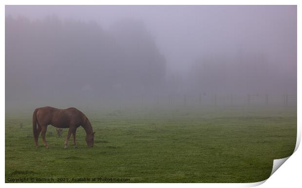 Horse in the fog Print by eacmich 