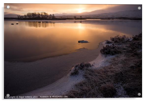 Sunrise at Loch Ba Acrylic by Nigel Wilkins