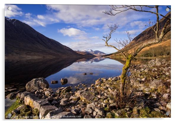 Loch Etive Acrylic by Nigel Wilkins