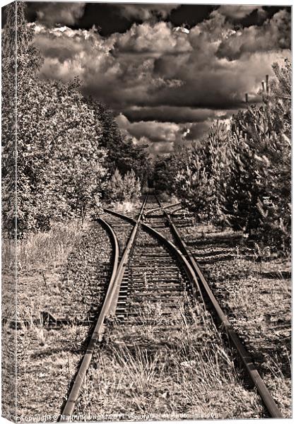Rail line to no where Canvas Print by Nathan Wright