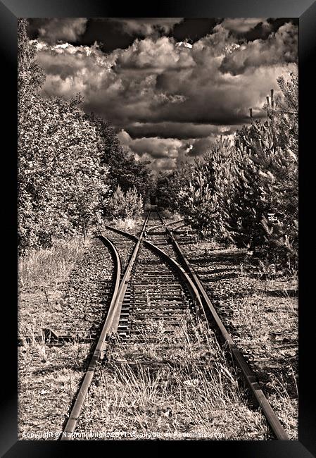 Rail line to no where Framed Print by Nathan Wright