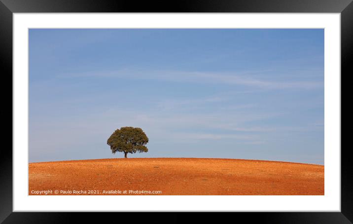 A lonely tree, typical Alentejo landscape Framed Mounted Print by Paulo Rocha