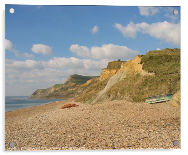 Dorset coast  Acrylic by Sandra Day