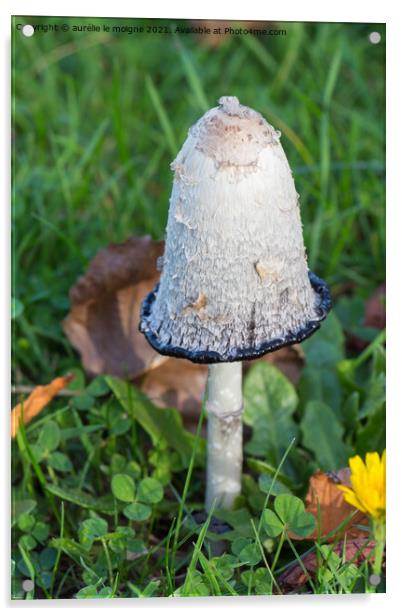 Shaggy inkcap mushroom in grass Acrylic by aurélie le moigne