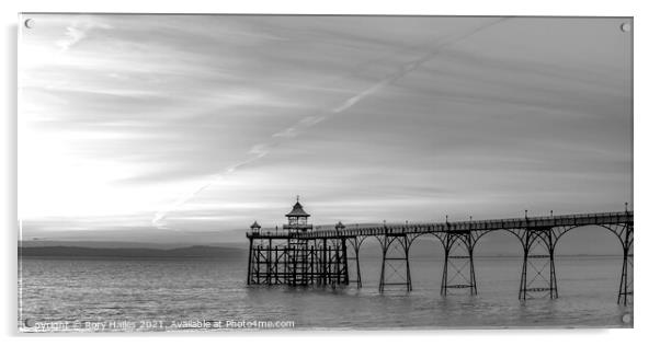 Clevedon Pier at low tide Acrylic by Rory Hailes