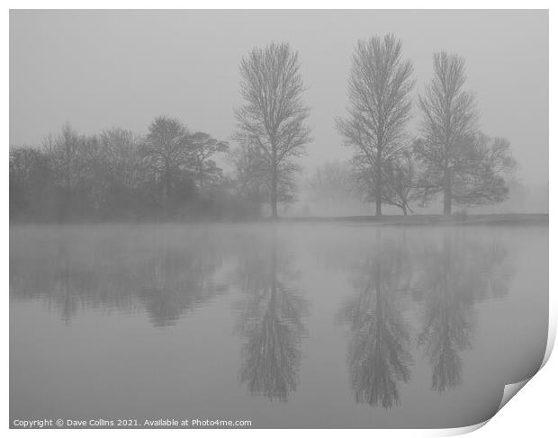 Tree Reflections, Misty Morning Print by Dave Collins