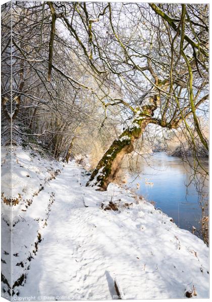 Teviot River and winter snow in the Scottish Borders Canvas Print by Dave Collins