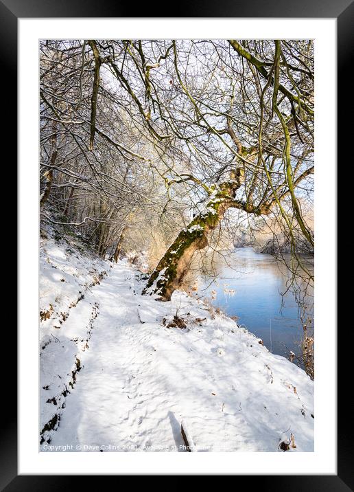 Teviot River and winter snow in the Scottish Borders Framed Mounted Print by Dave Collins