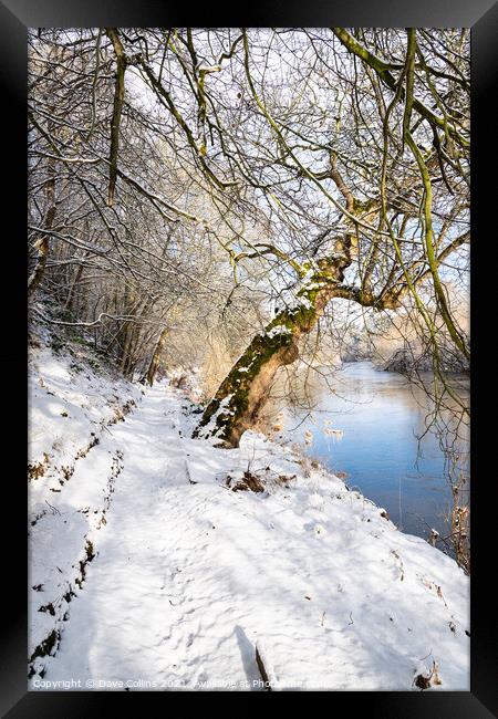 Teviot River and winter snow in the Scottish Borders Framed Print by Dave Collins