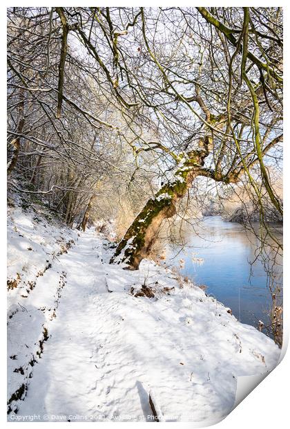 Teviot River and winter snow in the Scottish Borders Print by Dave Collins