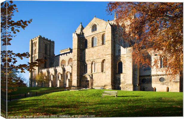 Ripon Cathedral in Autumn Canvas Print by Mark Sunderland