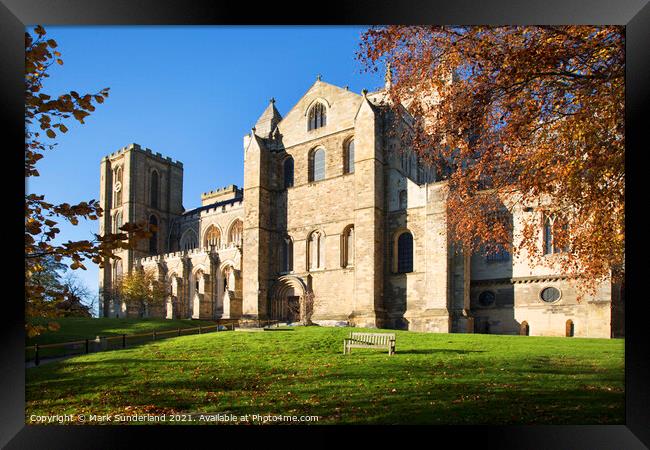 Ripon Cathedral in Autumn Framed Print by Mark Sunderland