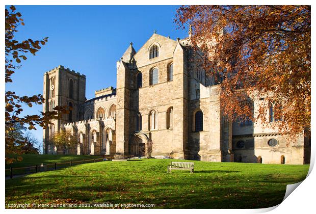 Ripon Cathedral in Autumn Print by Mark Sunderland