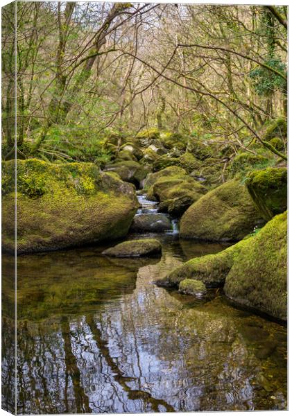 Rocky stream in the Conwy Valley, North Wales Canvas Print by Andrew Kearton