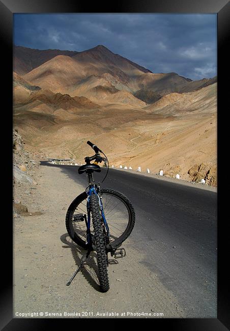 Mountain Biking down from Khardung La Framed Print by Serena Bowles