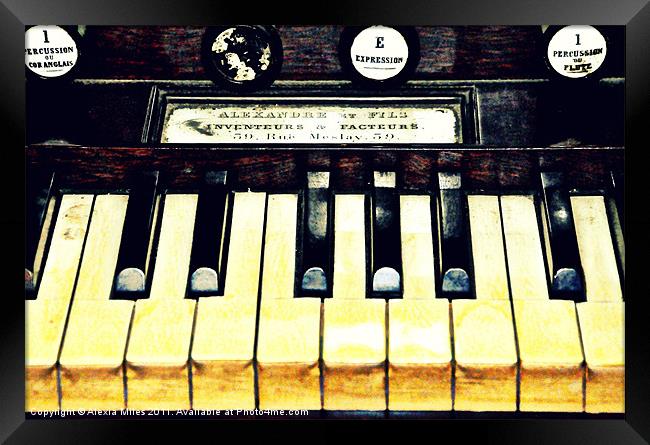 piano keys Framed Print by Alexia Miles