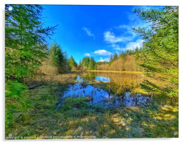 Reflective loch in Lennox Forest Acrylic by yvonne & paul carroll