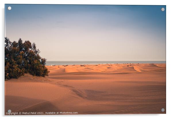 Dunas de Maspalomas (Sand dunes of Maspalomas), Gran Canaria Acrylic by Mehul Patel