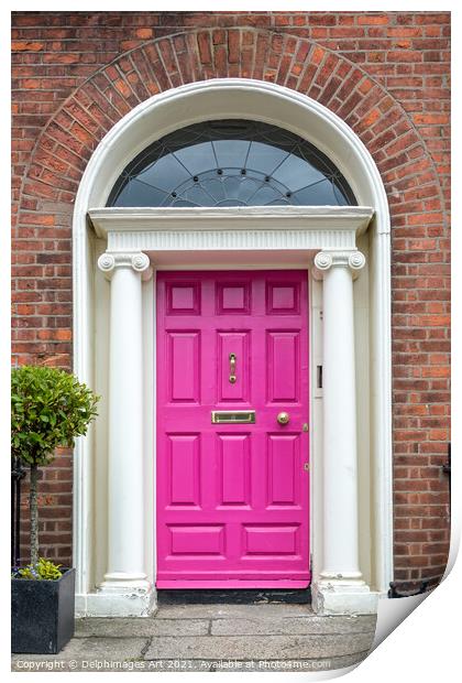 Pink georgian door in Dublin, Ireland Print by Delphimages Art