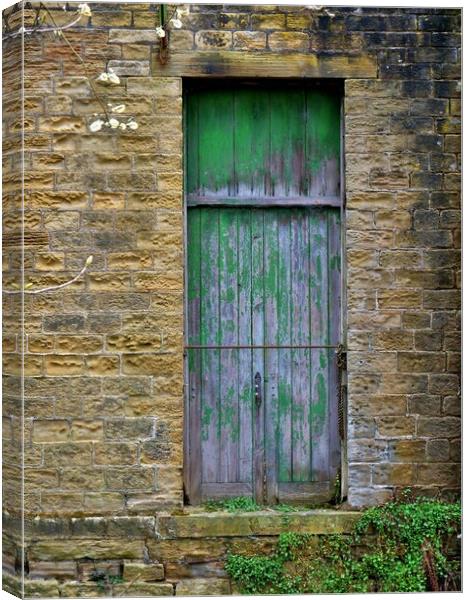 The old green door Canvas Print by Roy Hinchliffe