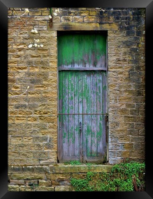 The old green door Framed Print by Roy Hinchliffe