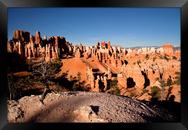 Bryce Canyon Framed Print by peter schickert